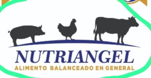 Nutriangel